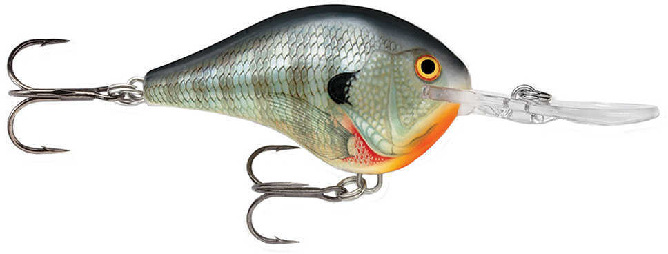 Rapala Dt Crankbait 2-1/8In 3/8Oz (6ft) Blue Gill Md#: RDT06BG