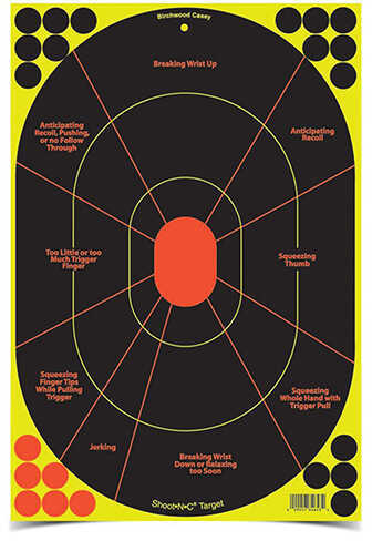 Birchwood Casey Shoot-N-C 12inx18in Handgun Trainer-40 Shts