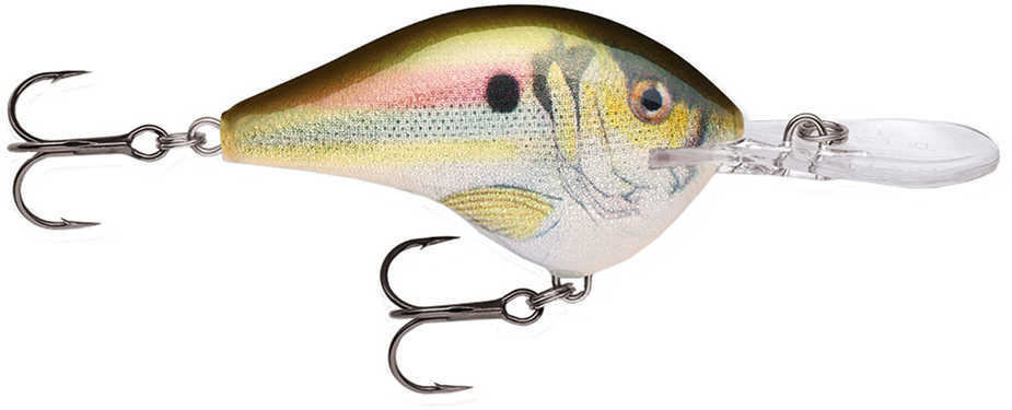 RAPALA Dive-To 2.25" Live RIVRSHAD