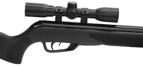 Gamo Wildcat Whisper Air Rifle .22 Model: 611006785554