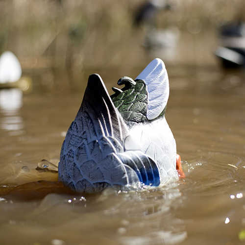 MOJO WATERFOWL DECOY BUTT UP RIPPLER Model: HW2459