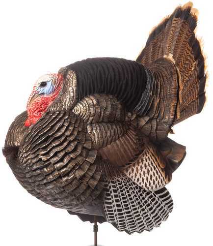 Dave Smith Decoy 3/4 Strut Jake Model: JAK