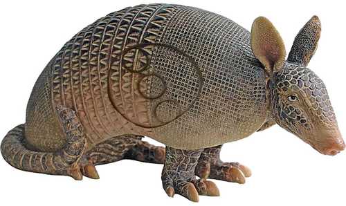 Real Wild Armadillo Target Model: 3D850AR