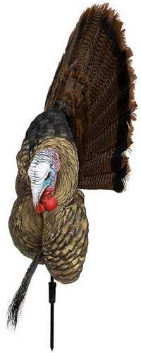 Avian-X Trophy Tom Turkey Decoy