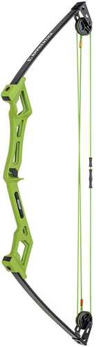 Bear Archery Traditional Youth Bow - Apprentice RH Green