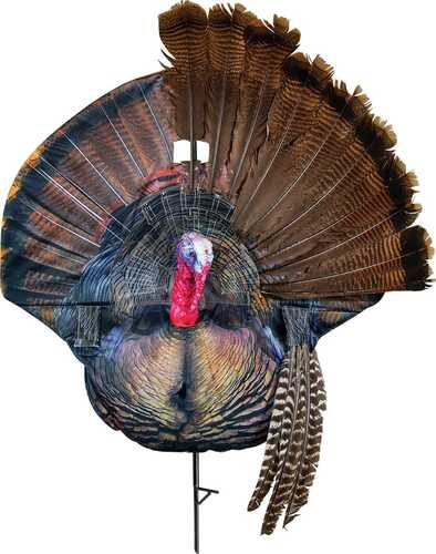 Montana Decoy Co Wiley Tom Strutting Gobbler