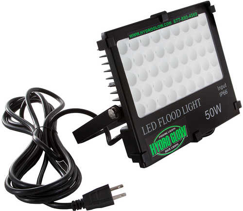 Hydro Glow FL50 50W/120VAC Flood Light - Green