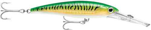 Rapala X-rap&reg; Magnum&reg; 15 Gold Green Mackerel