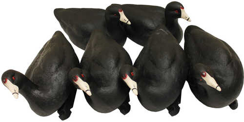 MOJO Coot Confidence Decoys  6 pk.