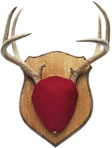 Gorilla Gear Trophy Antler Oak Mounting Kint