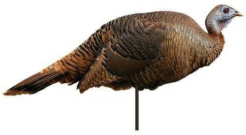 Montana Decoy Spring Fling Hen Model: 0042