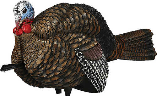 AVIAN X TURKEY DECOY LCD 1/2 STRUT JAKE Model: AVX-AVX8012