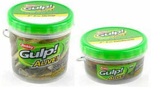 Berkley Gulp Alive Shrimp - Pint 3In Glow/Chartreuse Md#: GAPSHR3-GLC