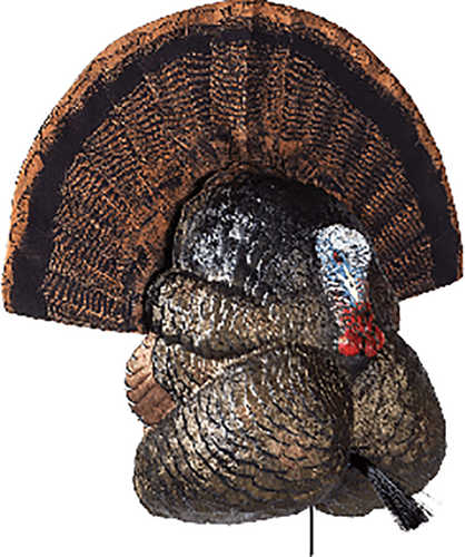 Flextone Turkey Decoy Thunder Creeper Strutter