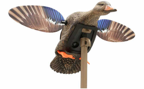 MOJO MINI MALLARD DECOY ELITE SERIES HEN Model: HW2471-3P