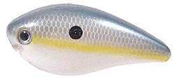 Strike King KVD Square Bill Crankbait - 2.5In 2-1/2In 3-6ft Sexy Shad Md#: HCKVDS2.5-590