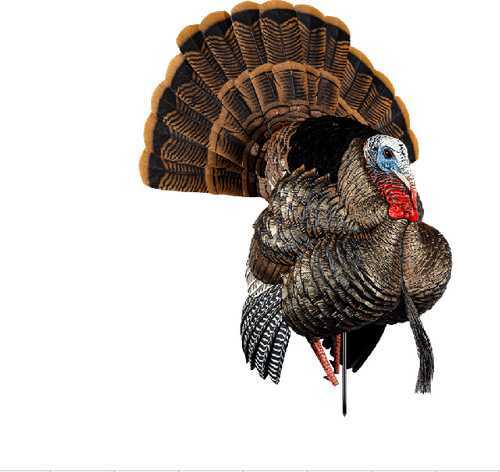 Avian-X HDR Strutter Decoy