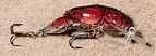 REB Teeny Wee Craw 1/10-Texas Red