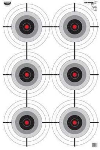 Birchwood Casey 37038 EZE-Scorer 
Paper 23" X 35" 6-Bullseye Black/White 100 Pack