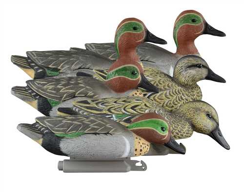 Higdon Outdoors 19943 Standard Teal Green Wing Species Multi Color Foam Filled 6 Pack