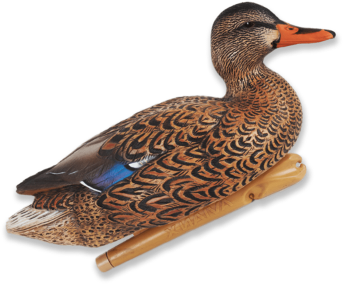 Avian X Avx-psh-mhsf Mallard Hen Species Multi-color