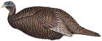 Flextone Thunder Chick Breeder Decoy  Model: FLX-FLXDY331