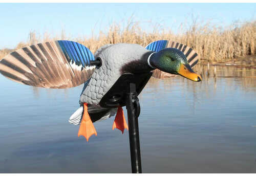 Mojo Elite Series Mini Mallard Drake Decoy