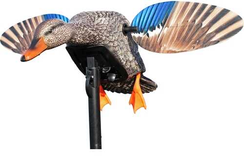 Mojo Elite Series Mini Mallard Hen Decoy